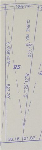 Lot 25