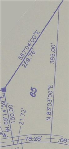 Lot 65